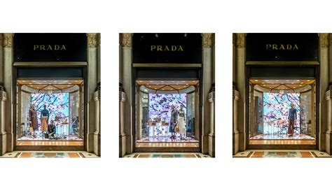 Prada cherry tree windows